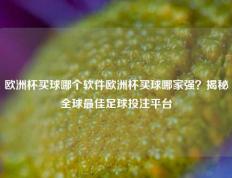 欧洲杯买球哪个软件欧洲杯买球哪家强？揭秘全球最佳足球投注平台