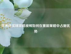 世界杯买球攻略视频如何在赛前策略中占据优势