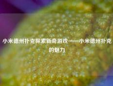 小米德州扑克探索新奇游戏——小米德州扑克的魅力
