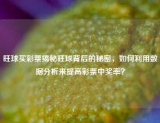 旺球买彩票揭秘旺球背后的秘密，如何利用数据分析来提高彩票中奖率？