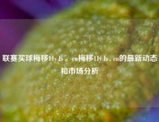 联赛买球梅移11yЬ。cn梅移11yЬ. cn的最新动态和市场分析