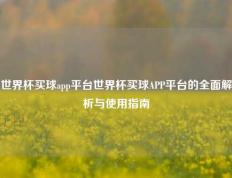 世界杯买球app平台世界杯买球APP平台的全面解析与使用指南