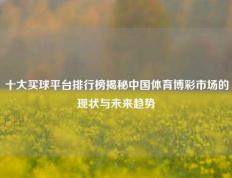 十大买球平台排行榜揭秘中国体育博彩市场的现状与未来趋势