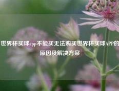 世界杯买球app不能买无法购买世界杯买球APP的原因及解决方案