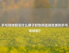 乒乓球球拍买什么牌子好如何选择优质的乒乓球球拍？