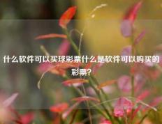 什么软件可以买球彩票什么是软件可以购买的彩票？