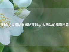买球app大网站有揭秘买球app大网站的精彩世界