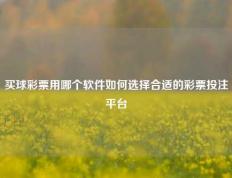买球彩票用哪个软件如何选择合适的彩票投注平台