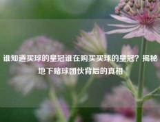 谁知道买球的皇冠谁在购买买球的皇冠？揭秘地下赌球团伙背后的真相