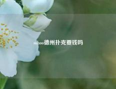 sohoo德州扑克要钱吗