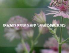 欧冠足球买球顶级赛事与球迷热情的交响乐