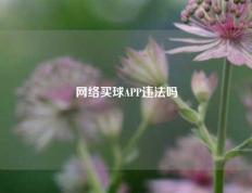 网络买球APP违法吗