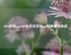 2019买球app2019年足球买球app的辉煌与挑战