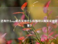 还有什么app能否买球什么应用可以购买足球比赛？