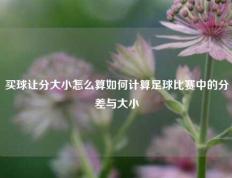 买球让分大小怎么算如何计算足球比赛中的分差与大小