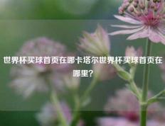 世界杯买球首页在哪卡塔尔世界杯买球首页在哪里？