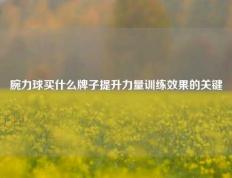 腕力球买什么牌子提升力量训练效果的关键