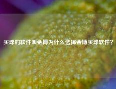 买球的软件叫金博为什么选择金博买球软件？