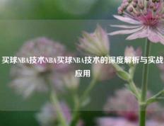 买球NBA技术NBA买球NBA技术的深度解析与实战应用