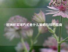 欧洲杯买球方式是什么策略与技巧指南