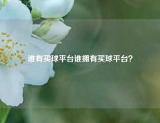 谁有买球平台谁拥有买球平台？