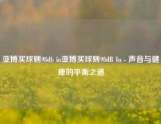 亚博买球则98db in亚博买球则98dB In - 声音与健康的平衡之道