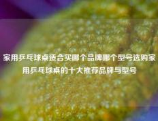 家用乒乓球桌适合买哪个品牌哪个型号选购家用乒乓球桌的十大推荐品牌与型号