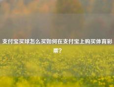 支付宝买球怎么买如何在支付宝上购买体育彩票？