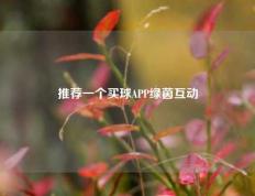 推荐一个买球APP绿茵互动