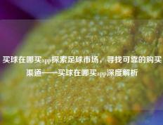 买球在哪买app探索足球市场，寻找可靠的购买渠道——买球在哪买app深度解析