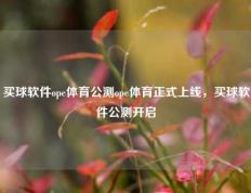 买球软件ope体育公测ope体育正式上线，买球软件公测开启
