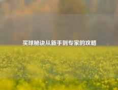 买球秘诀从新手到专家的攻略
