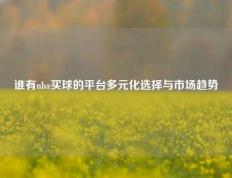 谁有nba买球的平台多元化选择与市场趋势