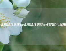 正规足球买球app正规足球买球app的兴起与应用