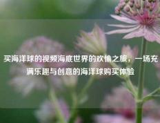 买海洋球的视频海底世界的欢愉之旅，一场充满乐趣与创意的海洋球购买体验