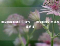 哪买球足球迷们的狂欢——哪买球助力足球赛事直播