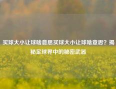 买球大小让球啥意思买球大小让球啥意思？揭秘足球界中的秘密武器