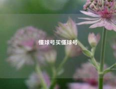懂球号买懂球号