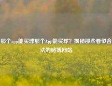 那个app能买球那个App能买球？揭秘那些看似合法的赌博网站