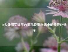 10大外围买球平台揭秘投资市场中的多元化选择