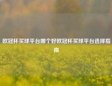 欧冠杯买球平台哪个好欧冠杯买球平台选择指南