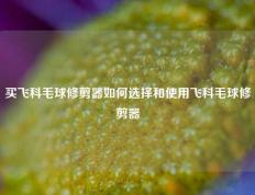 买飞科毛球修剪器如何选择和使用飞科毛球修剪器