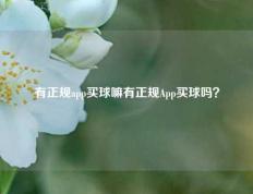 有正规app买球嘛有正规App买球吗？