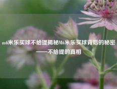 m6米乐买球不给提揭秘M6米乐买球背后的秘密——不给提的真相