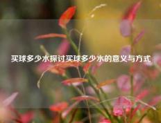 买球多少水探讨买球多少水的意义与方式