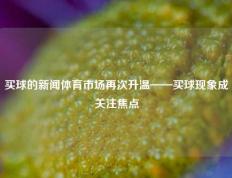 买球的新闻体育市场再次升温——买球现象成关注焦点