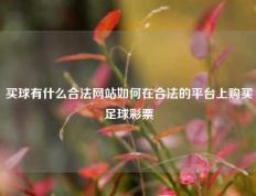 买球有什么合法网站如何在合法的平台上购买足球彩票