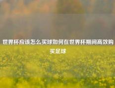 世界杯应该怎么买球如何在世界杯期间高效购买足球