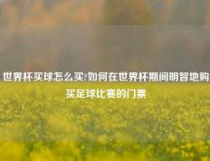 世界杯买球怎么买?如何在世界杯期间明智地购买足球比赛的门票