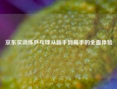 京东买训练乒乓球从新手到高手的全面体验